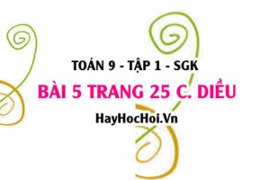 Bài 5 trang 25 Toán 9 tập 1 Cánh Diều